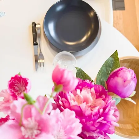 Mazzini 9 Tirabora Short Rent Triest